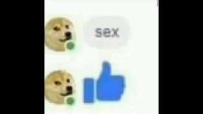 sex 👍 (yEs)