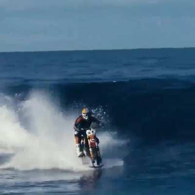 Норкоманы штоле?