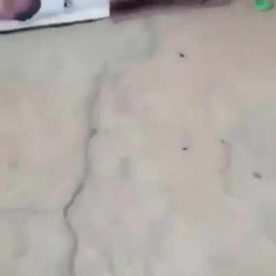 Apne ghar ke aaspas rehne wale Garib logo ko please raashan de🙏🥺.