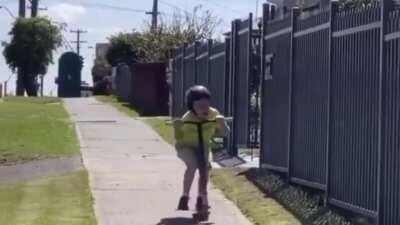 Are low effort memes allowed here?