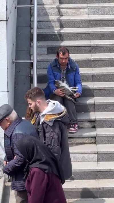 Stray cat is napping