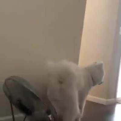 I don't know what to say to this