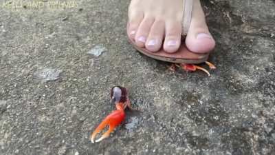 She made the poor crab disappear