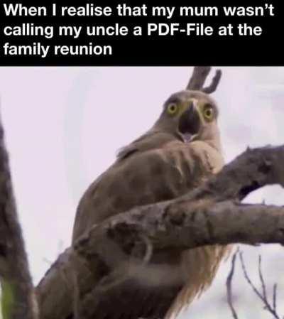 Come to think of it, he was acting a bit weird that day