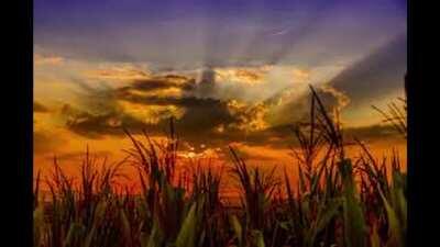 HUEBI feat. MAF - SPEZI, aber jedes Wort ist ein Google image