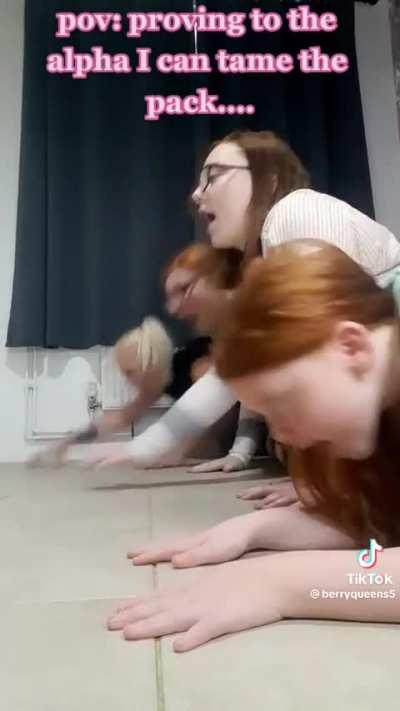 Always wished top have a wolf Pack like thiz one 