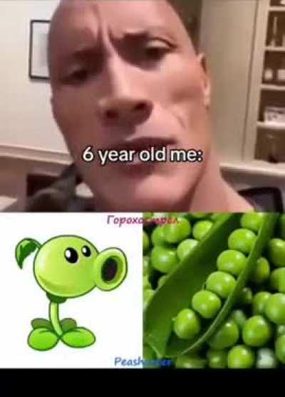 Never ask spez what he did when he was 6 (heil spez)