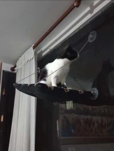 This asshole doesn't know what logic is and that's why this happens