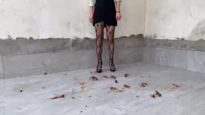 Goddess Lily, hard stomp craws, brutal…