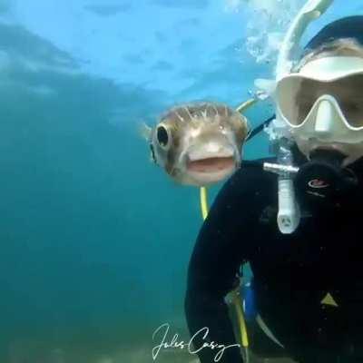 What do you think of my new girlfriend? She is a human main but I think it could work.