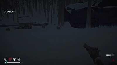 Anyone have bears ascend when you shoot them?