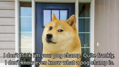 Doge's Little Pogchamp