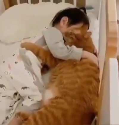 Cat must guard hooman