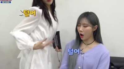 Jiu saying sorry to Handong