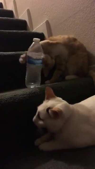 Very well planned and executed