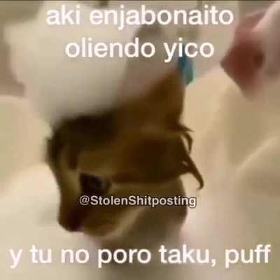 Hola buenas tardes 🤝