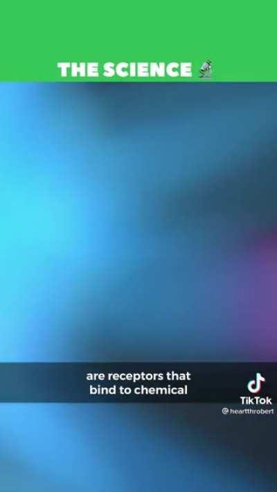 We're finally getting the recognition we deserve by the academia