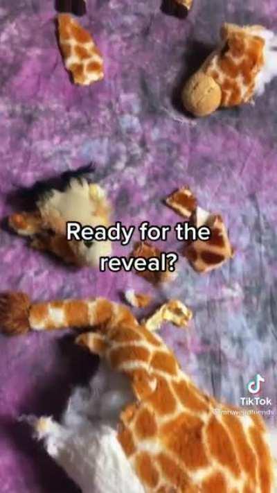 Someone explain please, wrong answers only