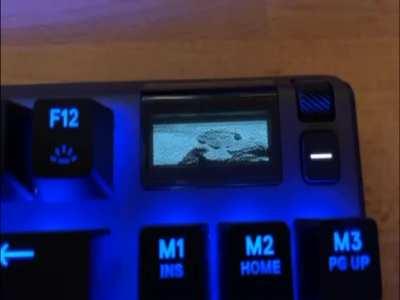 Just got a new keyboard...