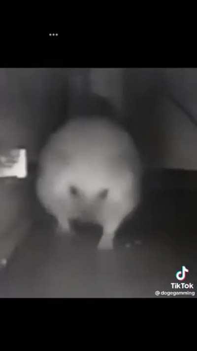 Daddy pls don't ban me