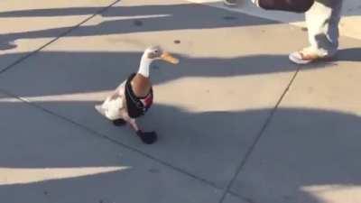 🄾🄼🅆🅃🄵🅈🄱