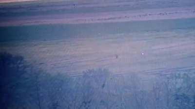 Crockets are such BS