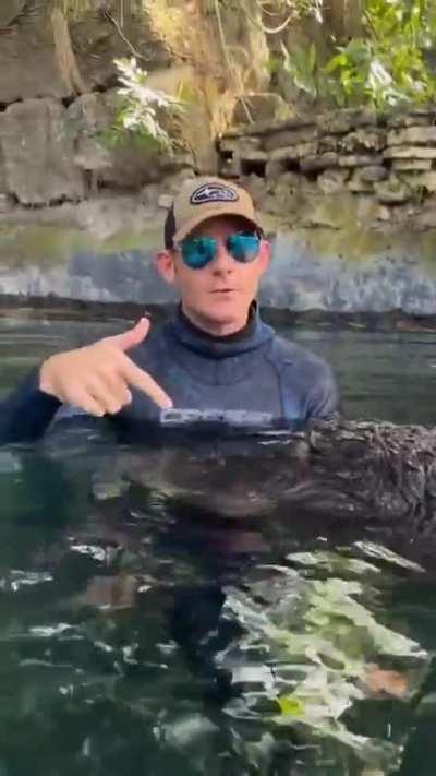 Man explains why this alligator won't kill him