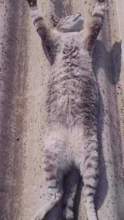 I am not worthy, dear sun god