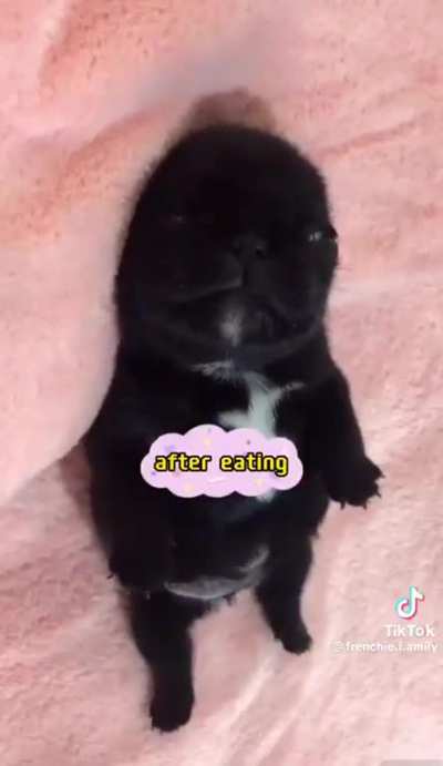 imGlitch l_Ozen_l ha canjeado Vip imGlitch