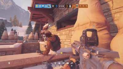 Perfectly cut scream (sound on)