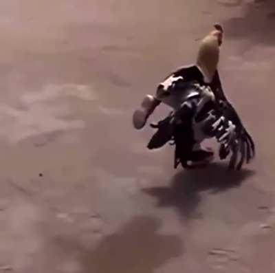 he fresh as f**k (fuck)🤬😳😳🤯😱