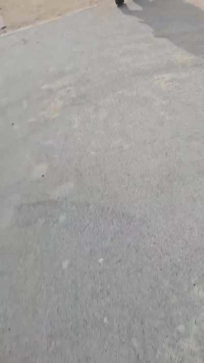 Announcing my love for Mommy Misato in the city of love