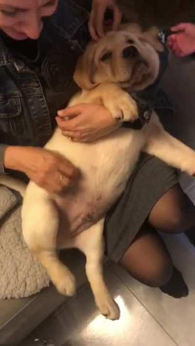 This is Snitch, he’s getting his first pets!