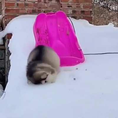 Faceplant into the snow