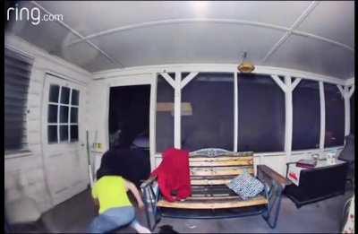 Least brave Floridan