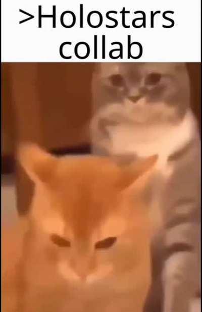 Parasocial relationships have been a disaster for online communities