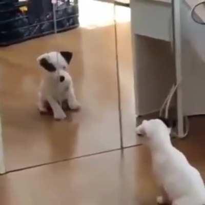 the first time in the mirror. 😅😅😅