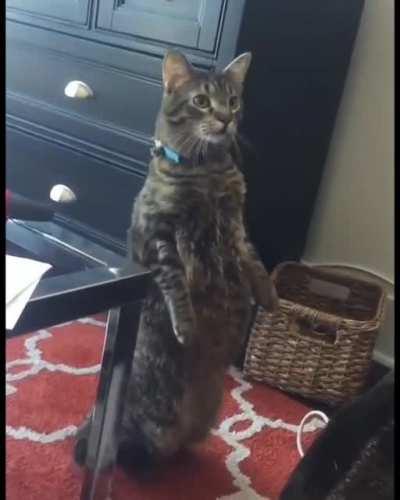 Come on, go bigger....