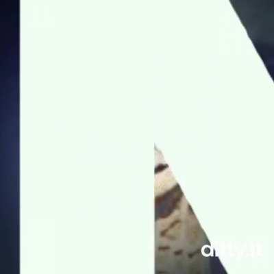 This pleases the nut lord