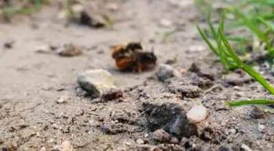 My cat ruined this moment.