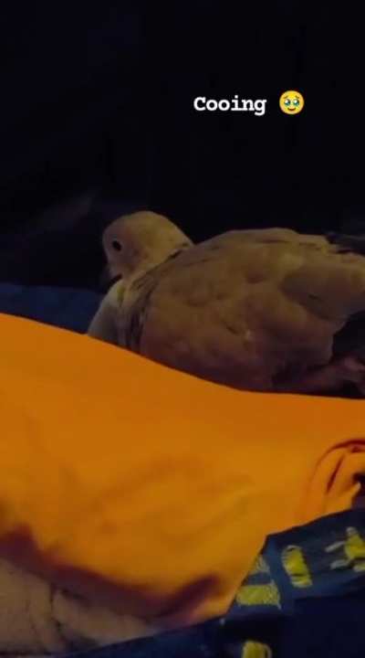 Does this mean anything?