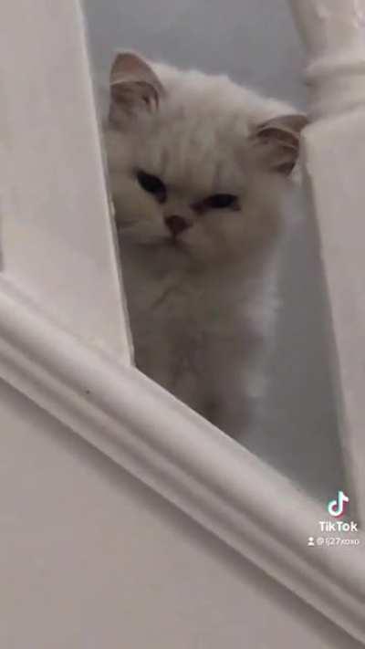 Ever get the feeling that you’re being watched!?