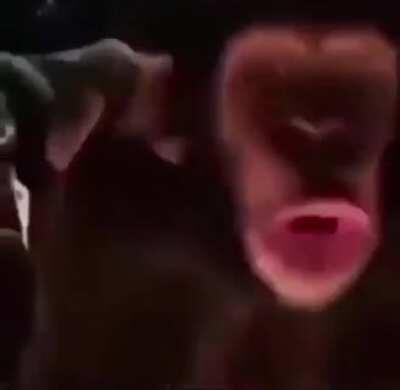 ITS DINNER TIME BOISSSSSS!!!!