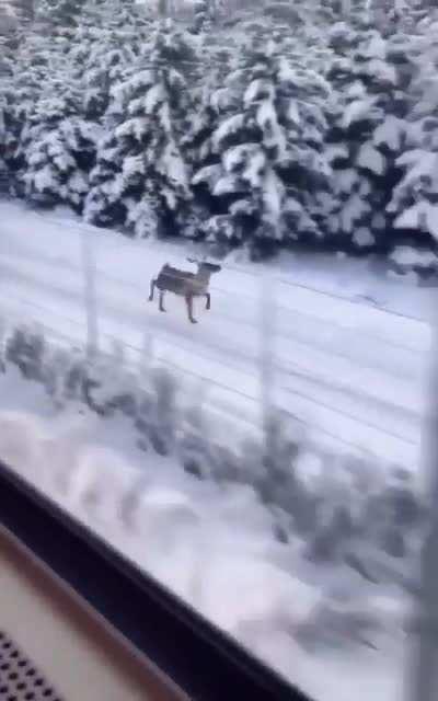 Чот немного орнул...