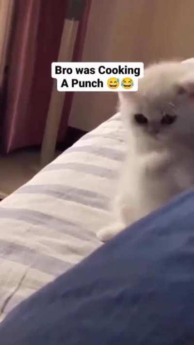 Criminal charges up the attack