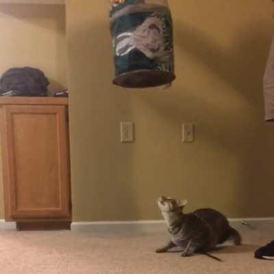 HMC while I jump through this tunnel