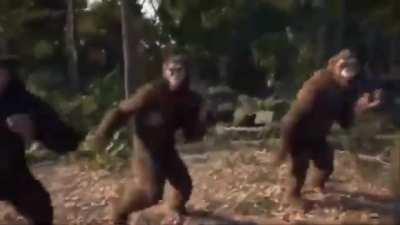 when Annihilation LOL hits