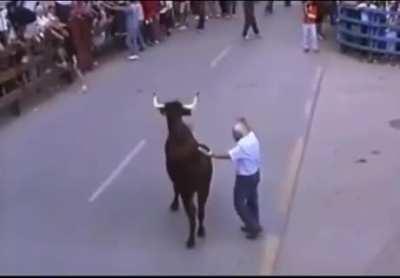 Dude wins bull’s trust