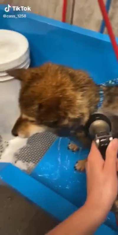 Comedic timing was perfect