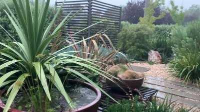 Canberra Australia (part 1)